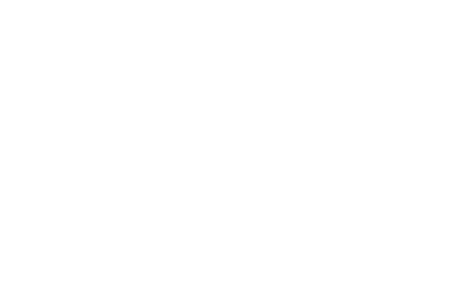KSU presents Summer Ball